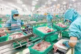 Ngành thủy sản rơi vào “vùng trũng” trong tháng 5/2025