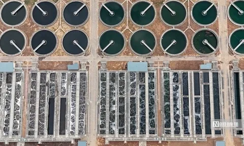 Xử lý nước thải công nghiệp: Mảnh ghép còn thiếu trong bức tranh phát triển xanh