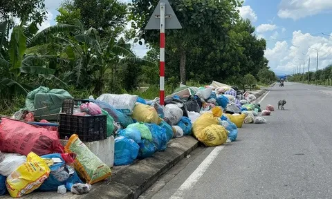 Đà Nẵng: Người dân bất an, lo ô nhiễm vì rác tập kết đầy đường