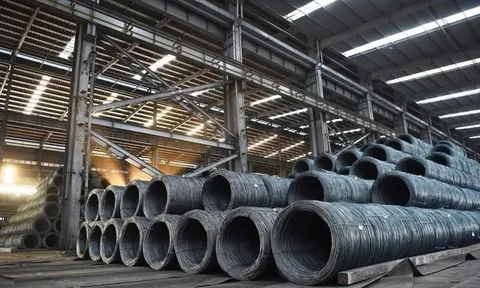 Dây cáp thép Việt Nam bị Mexico khởi xướng điều tra chống bán phá giá