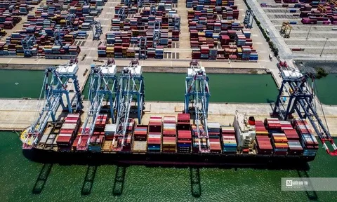 Gần 60% doanh nghiệp Việt chưa biết quy định mới của EU về chuỗi cung ứng