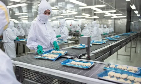 Sao Ta giữa “vòng vây” của chi phí và thuế quan