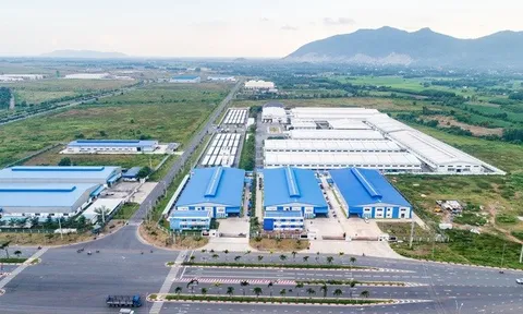 Vì sao doanh thu của Sonadezi Châu Đức sụt giảm 47% trong quý III/2025?