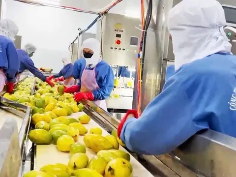 Hành trình gian nan đưa nông sản sạch đến bàn ăn