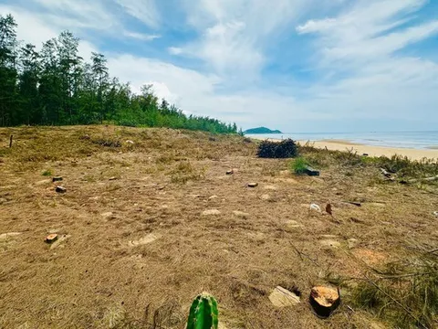 Kỳ vọng phòng chống sa mạc hóa vùng ven biển tỉnh Hà Tĩnh bằng dự án 13,4 triệu USD