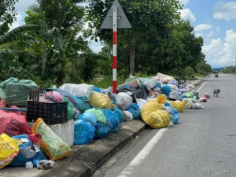 Đà Nẵng: Người dân bất an, lo ô nhiễm vì rác tập kết đầy đường