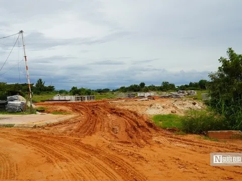 Dự án nhà ở xã hội phơi nắng mưa, cỏ dại phủ kín