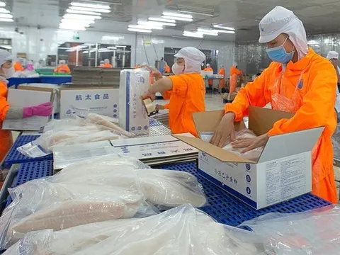 Doanh thu vượt 2.000 tỷ đồng, Thủy sản Nam Việt báo lãi tăng chục lần