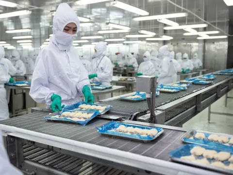 Sao Ta giữa “vòng vây” của chi phí và thuế quan