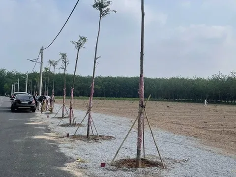 HoREA: Đề xuất bổ sung cơ chế xử lý “lối đi chung” khi hợp thửa đất tại Tp.HCM