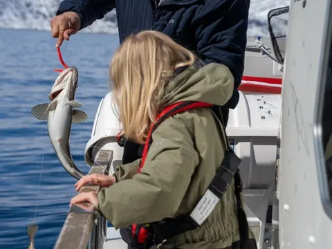 Xu hướng lựa chọn DHA cho trẻ nhỏ: Không chỉ là hàm lượng, mà là chất lượng toàn diện